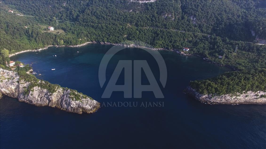 Zaljevi u crnomorskoj regiji u Turskoj svojevrsni raj na zemlji