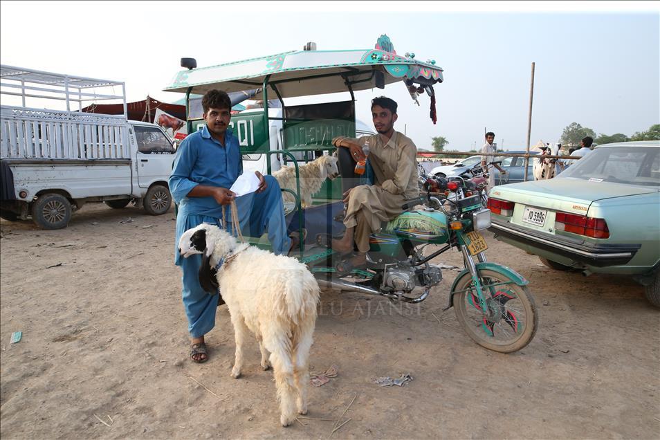Pakistan'da kurban pazarları rengarenk