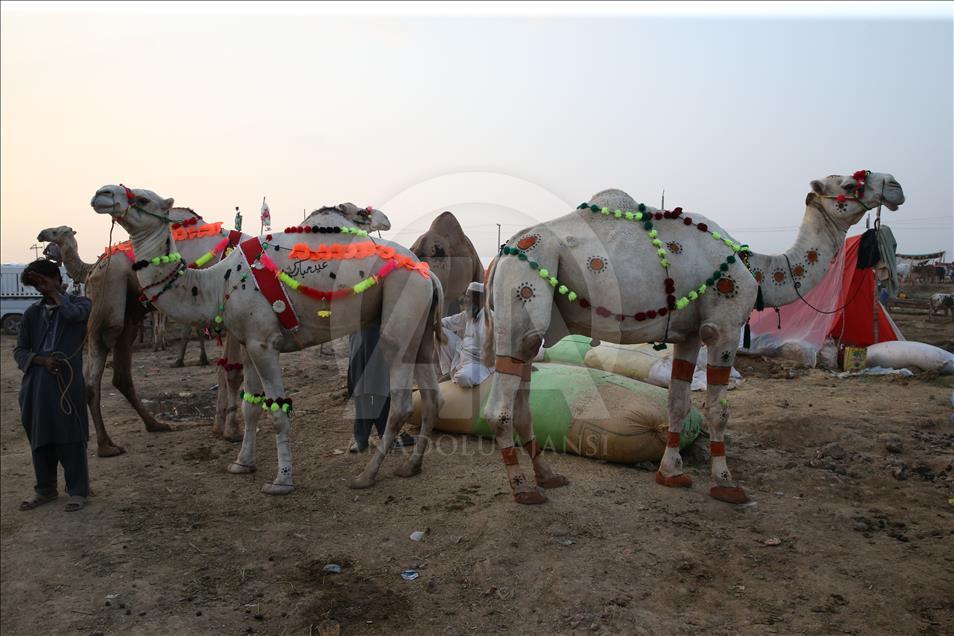 Ahead of Eid al-Adha in Pakistan