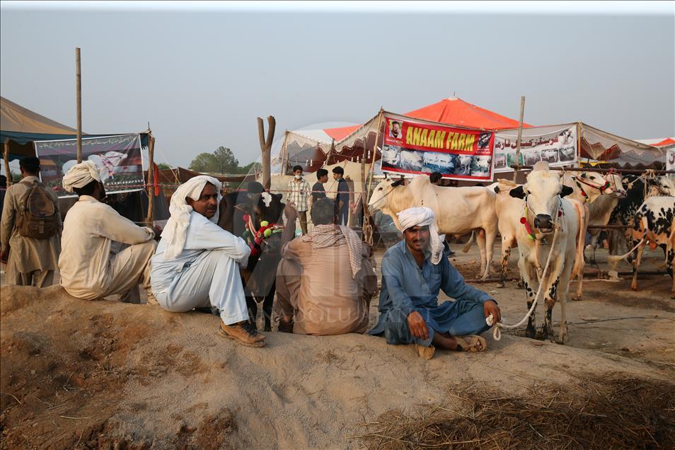 Ahead of Eid al-Adha in Pakistan