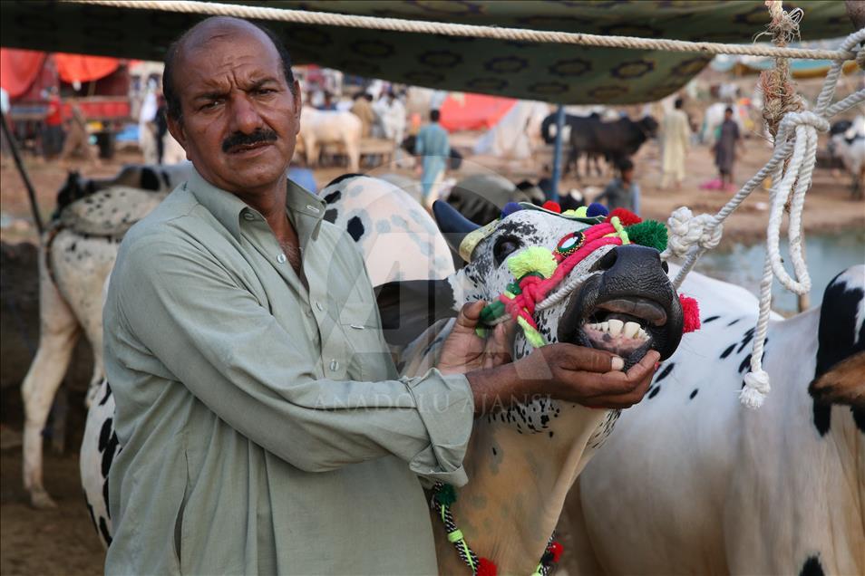 Ahead of Eid al-Adha in Pakistan