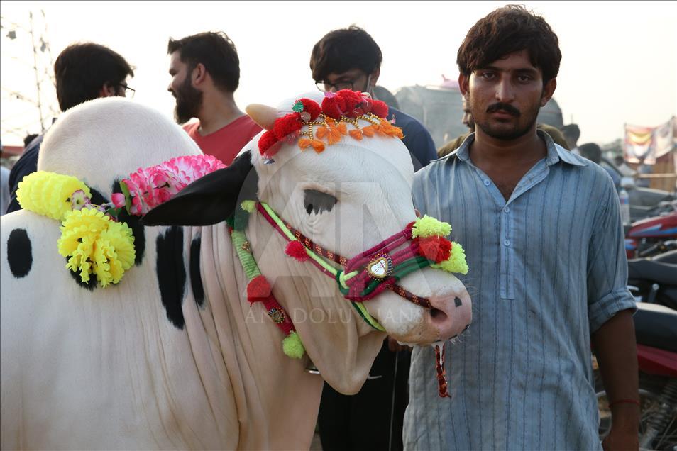 Pakistan'da kurban pazarları rengarenk