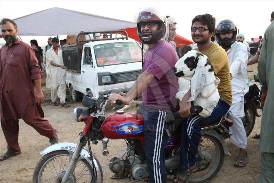 Ahead of Eid al-Adha in Pakistan