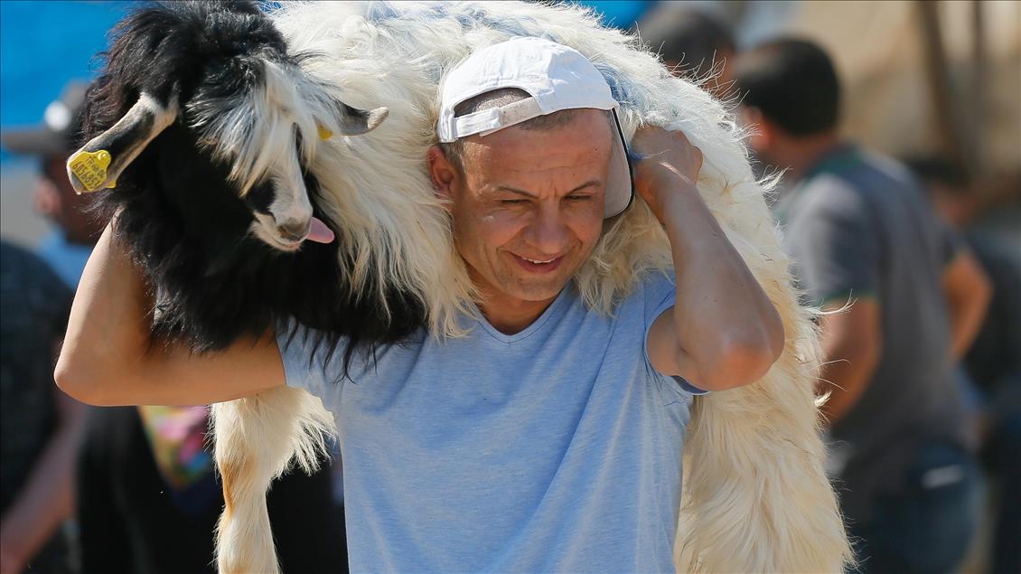 İzmir'de kurban pazarı yoğunluğu