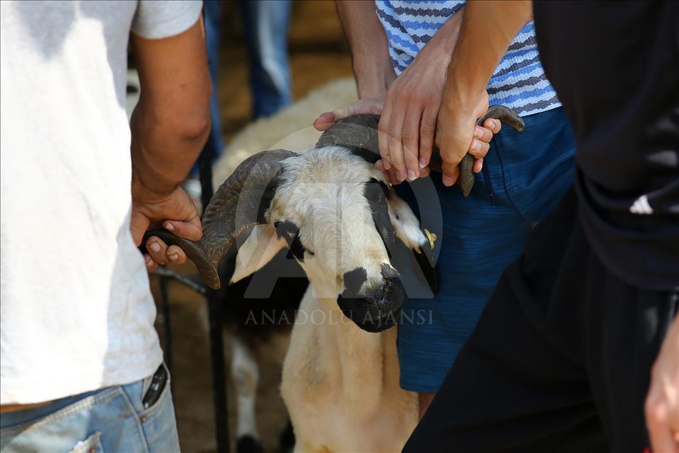 Adana'da Kurban Bayramı kutlanıyor