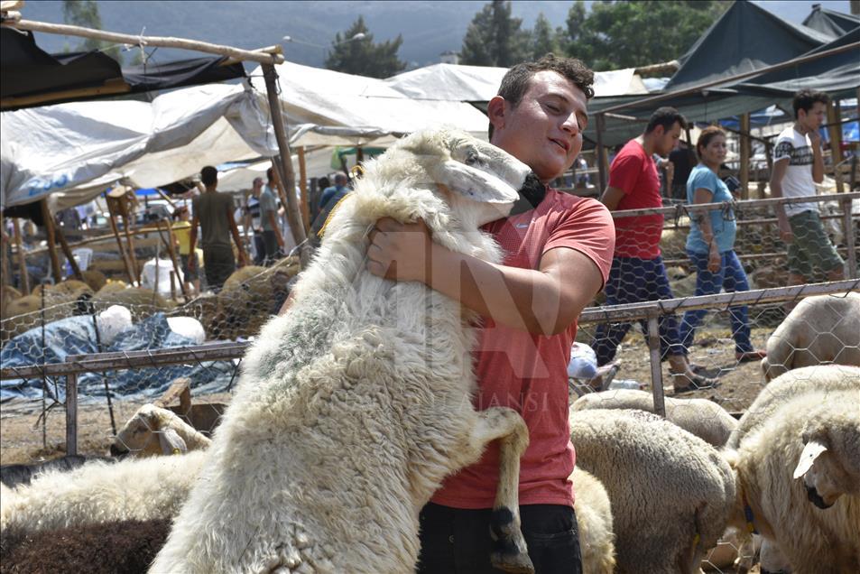 Hatay'da Kurban Bayramı