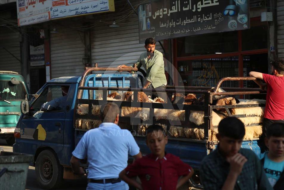 Las mejores imágenes de Eid al-Adha alrededor del mundo 