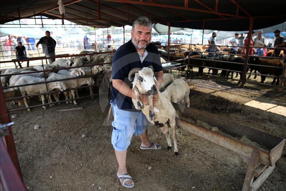 Adana'da Kurban Bayramı kutlanıyor
