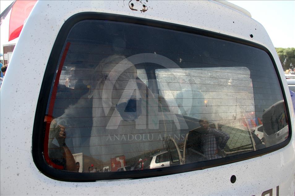Kayseri'de Kurban Bayramı