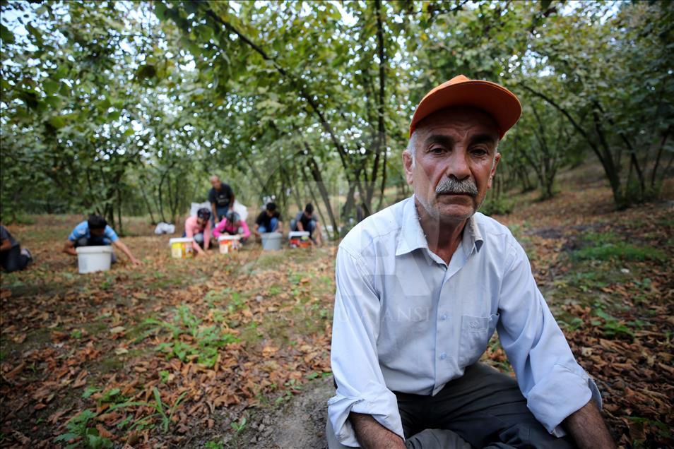 Mevsimlik işçilerin buruk bayramı
