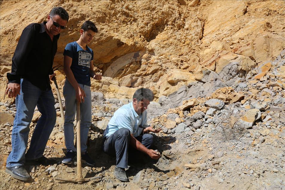 Köylülerin yıllardır yaktığı madde "doğal kehribar" çıktı