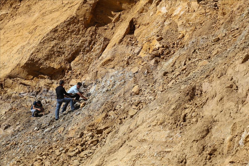 Köylülerin yıllardır yaktığı madde "doğal kehribar" çıktı