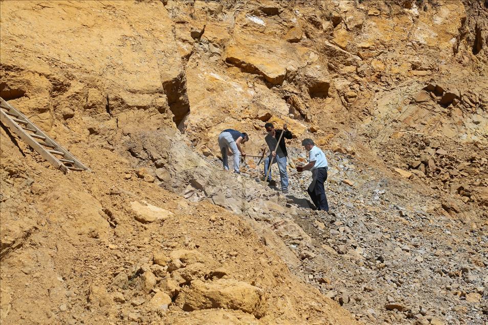 Köylülerin yıllardır yaktığı madde "doğal kehribar" çıktı