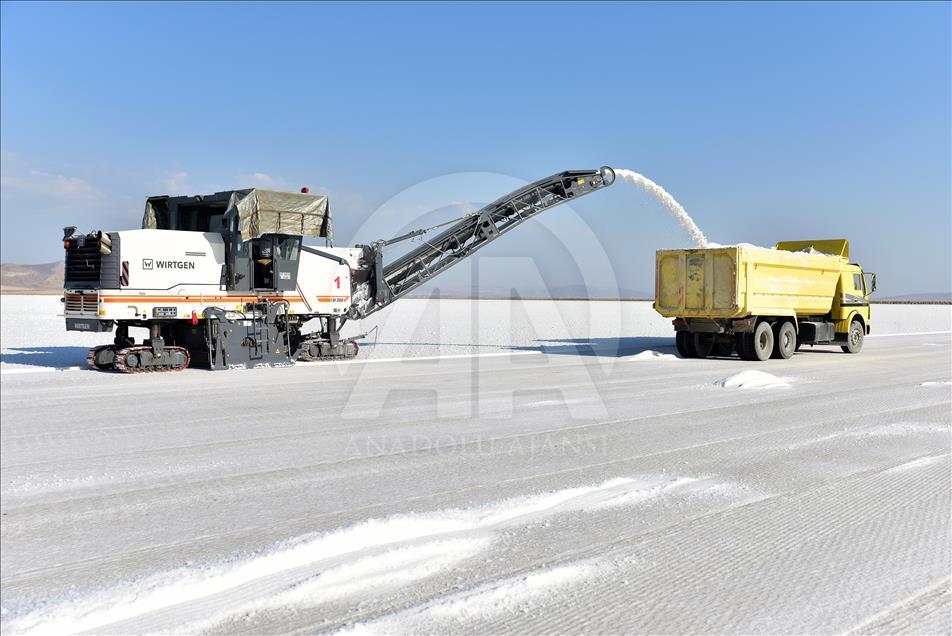 Bozkırın ortasındaki "kuş cenneti" Tuz Gölü

