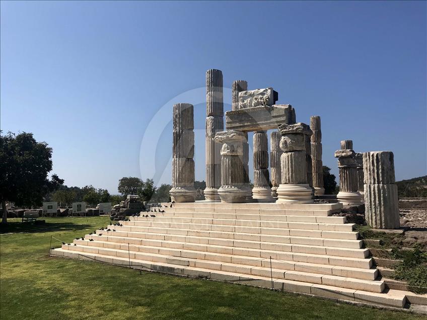 Apollon Tapınağı "mitolojik fareler"ine kavuştu