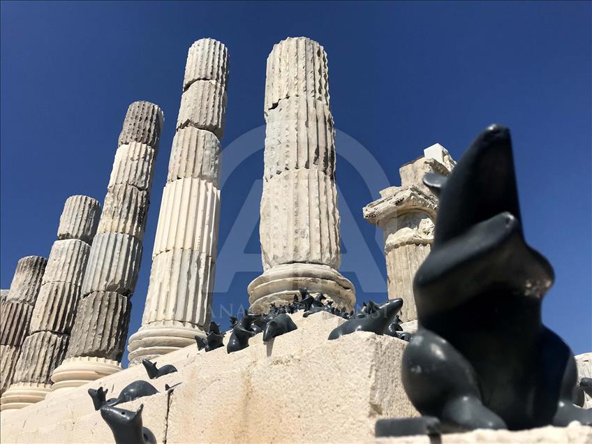 Apollon Tapınağı "mitolojik fareler"ine kavuştu