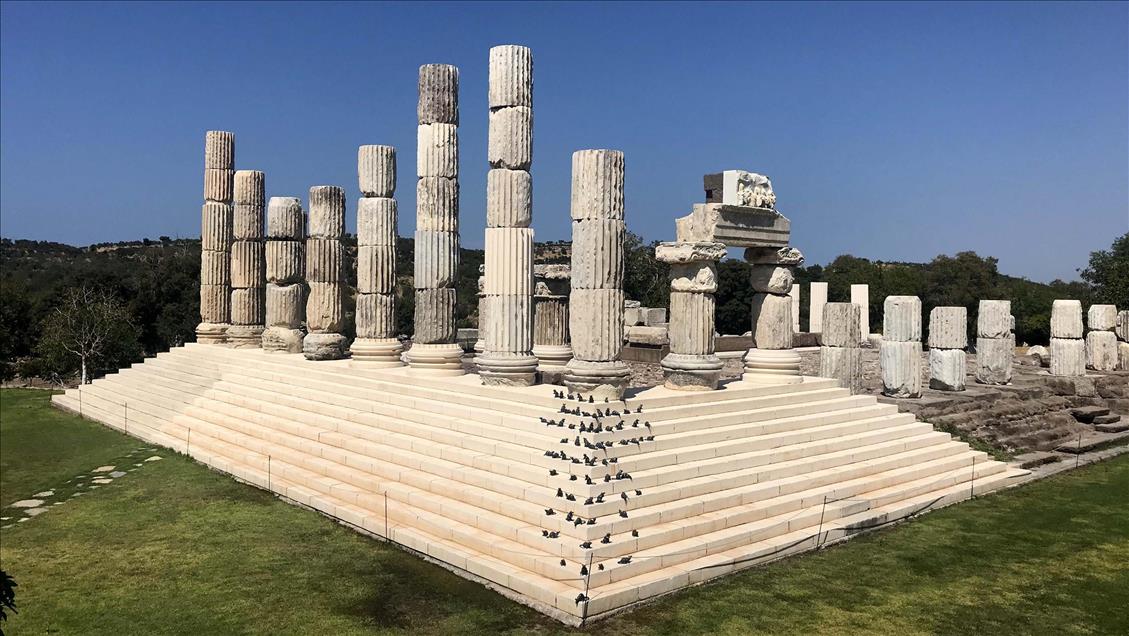 Apollon Tapınağı "mitolojik fareler"ine kavuştu