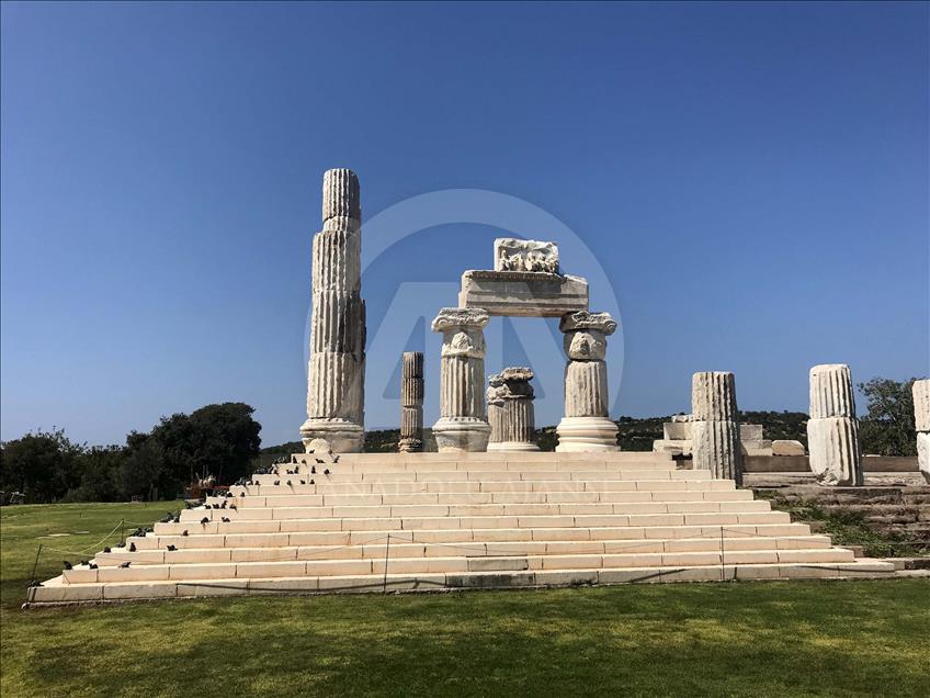 Apollon Tapınağı "mitolojik fareler"ine kavuştu