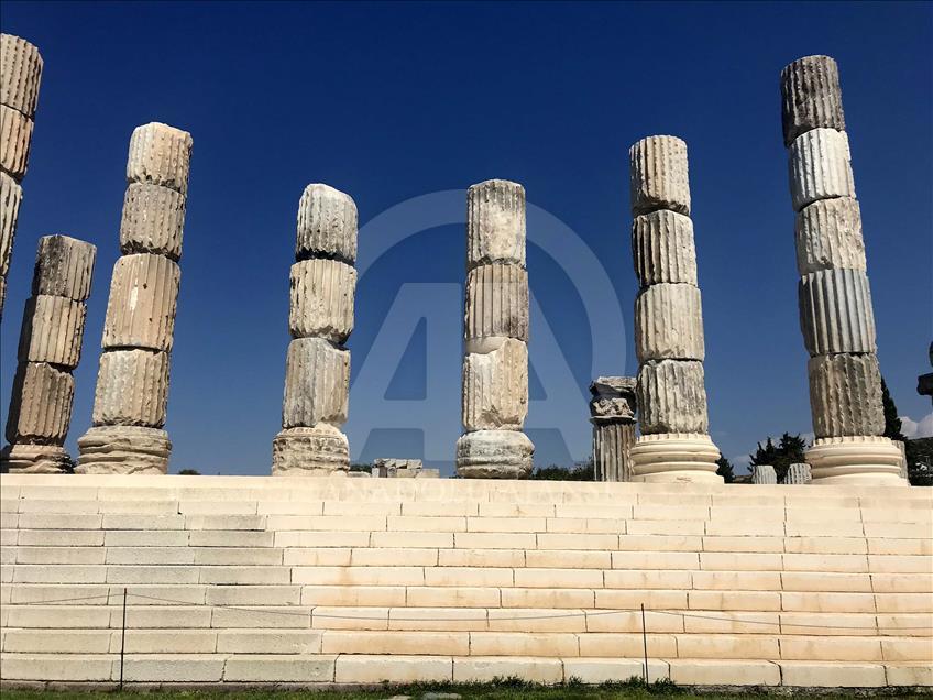 Apollon Tapınağı "mitolojik fareler"ine kavuştu