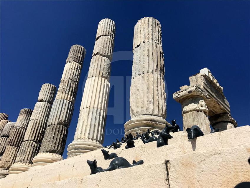 Apollon Tapınağı "mitolojik fareler"ine kavuştu
