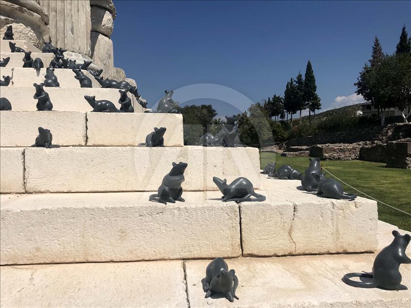 Apollon Tapınağı "mitolojik fareler"ine kavuştu