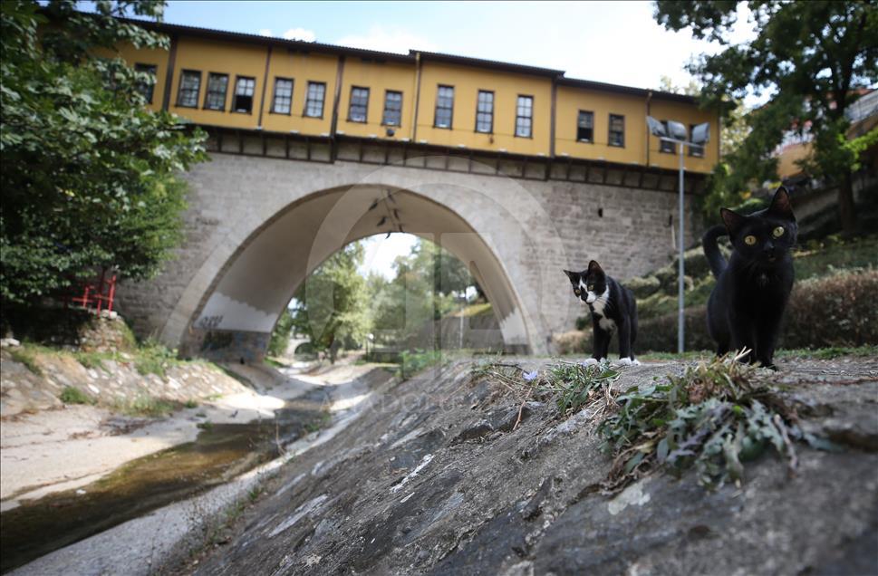 Bursa'nın sanat köprüsü: Irgandı Çarşılı Köprüsü