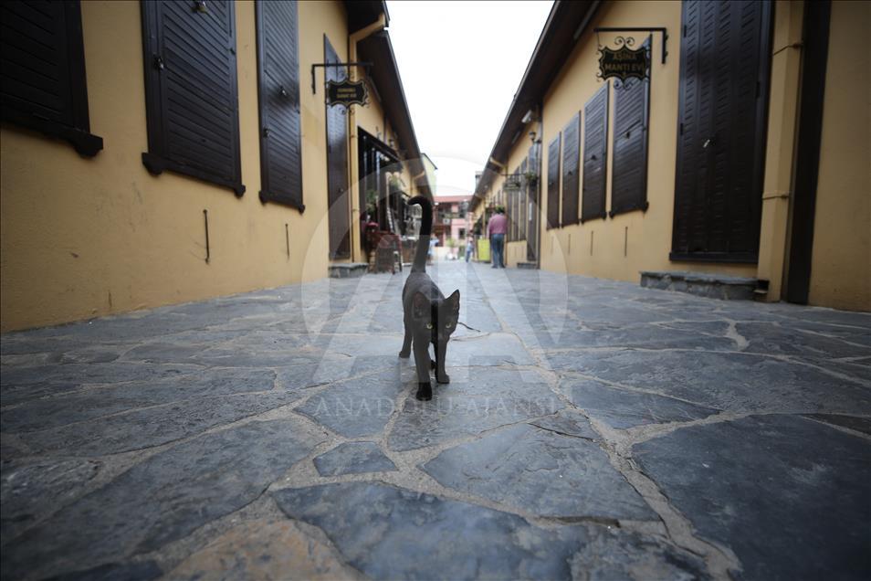 Bursa'nın sanat köprüsü: Irgandı Çarşılı Köprüsü