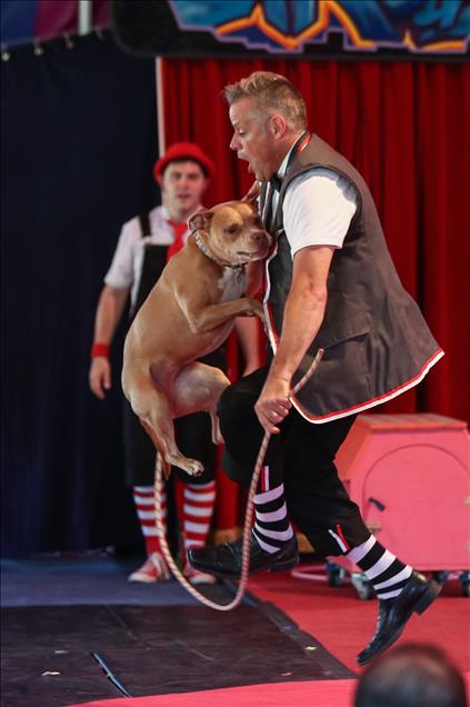 Midnight Circus perform at Holstein Park 