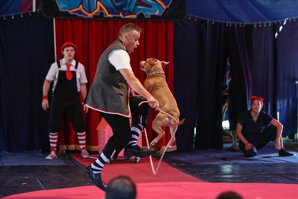 Midnight Circus perform at Holstein Park 