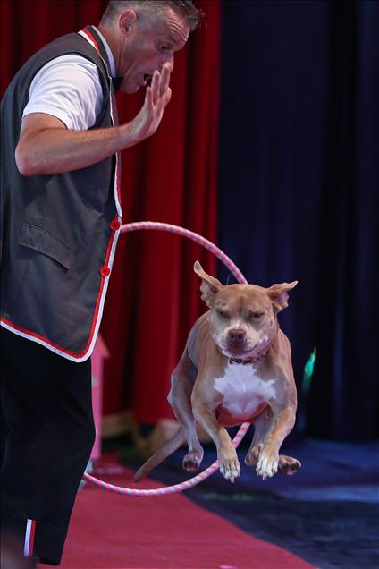 Midnight Circus perform at Holstein Park 