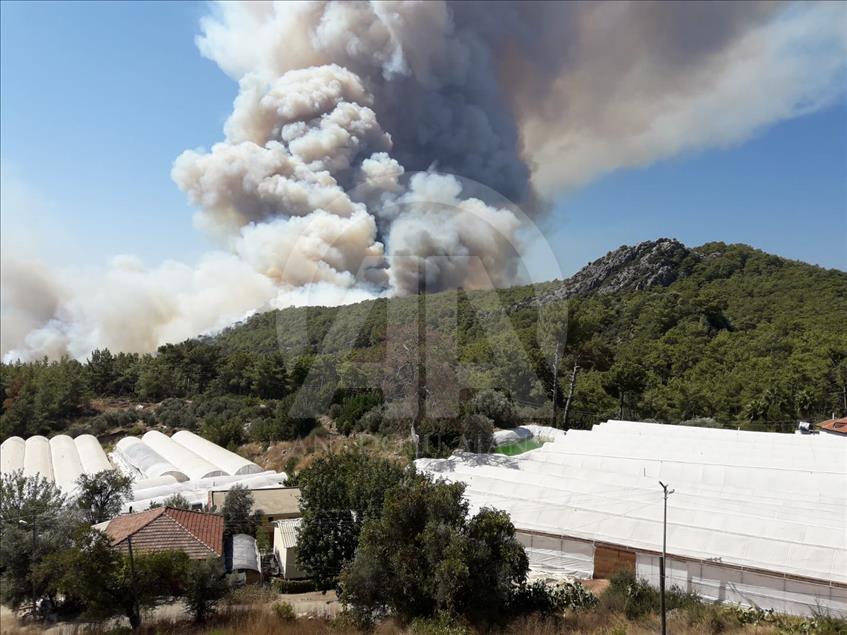 Antalya'da orman yangını
