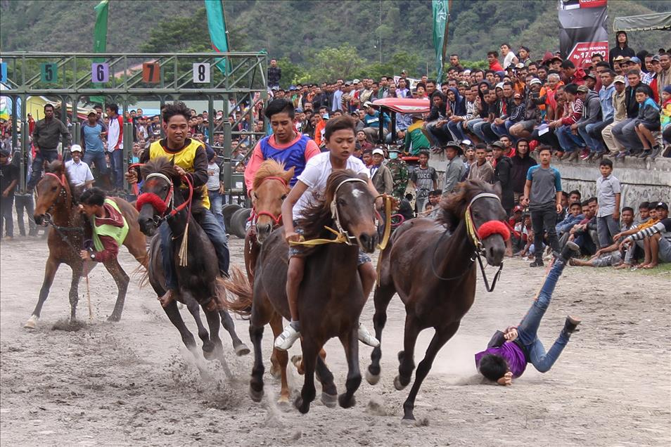 Pacuan Kuda Tradisional Gayo Di Aceh Anadolu Ajans