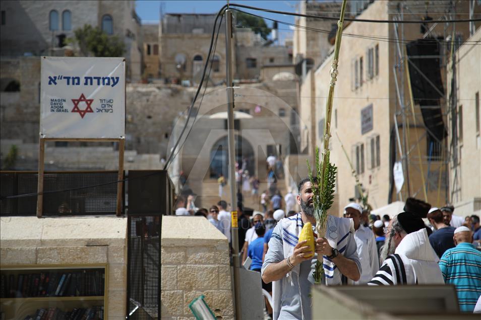 Yahudiler, Sukot'u kutluyor
