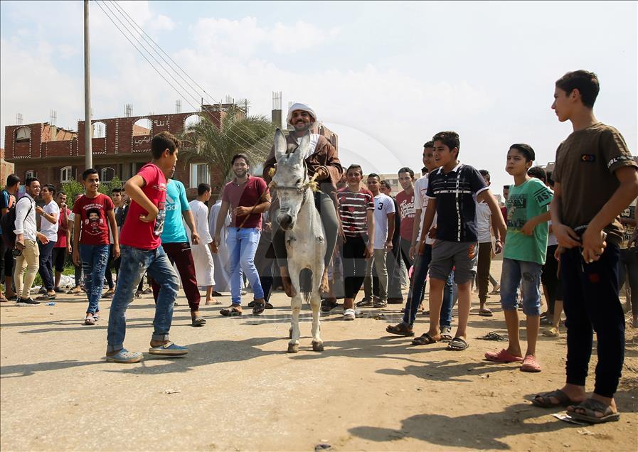 Carrera de burros en Egipto