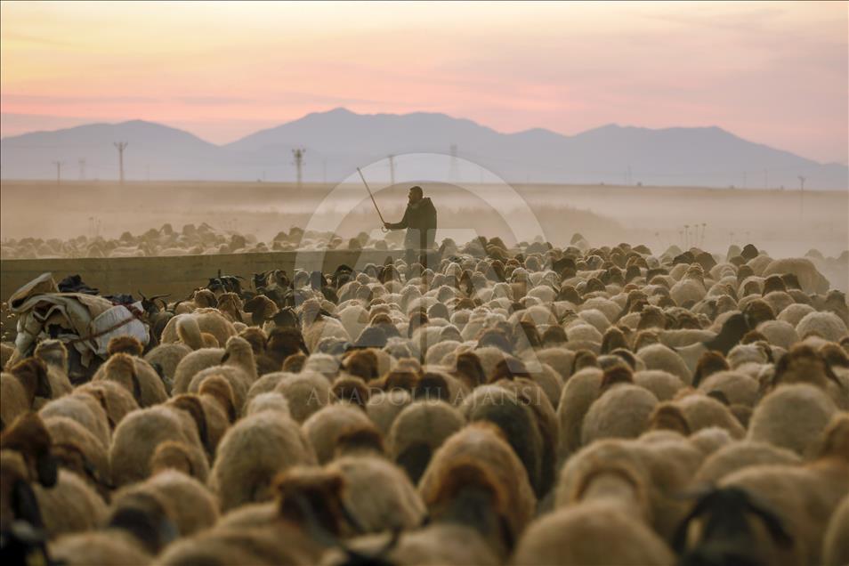 Así viven los nómadas turcos en la provincia de Van