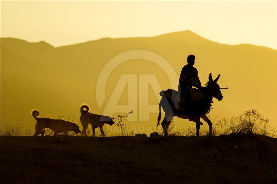 Así viven los nómadas turcos en la provincia de Van
