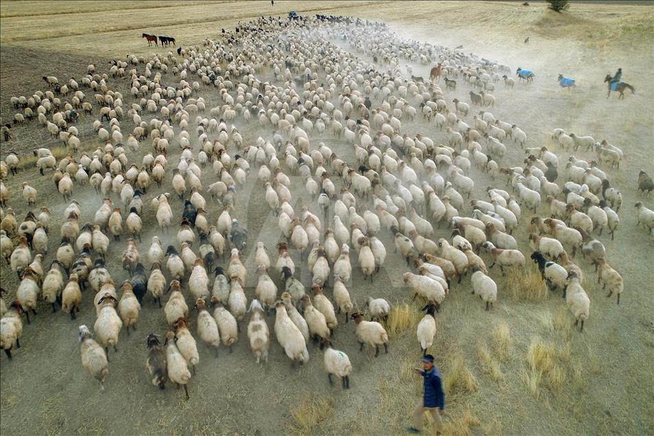 Así viven los nómadas turcos en la provincia de Van
