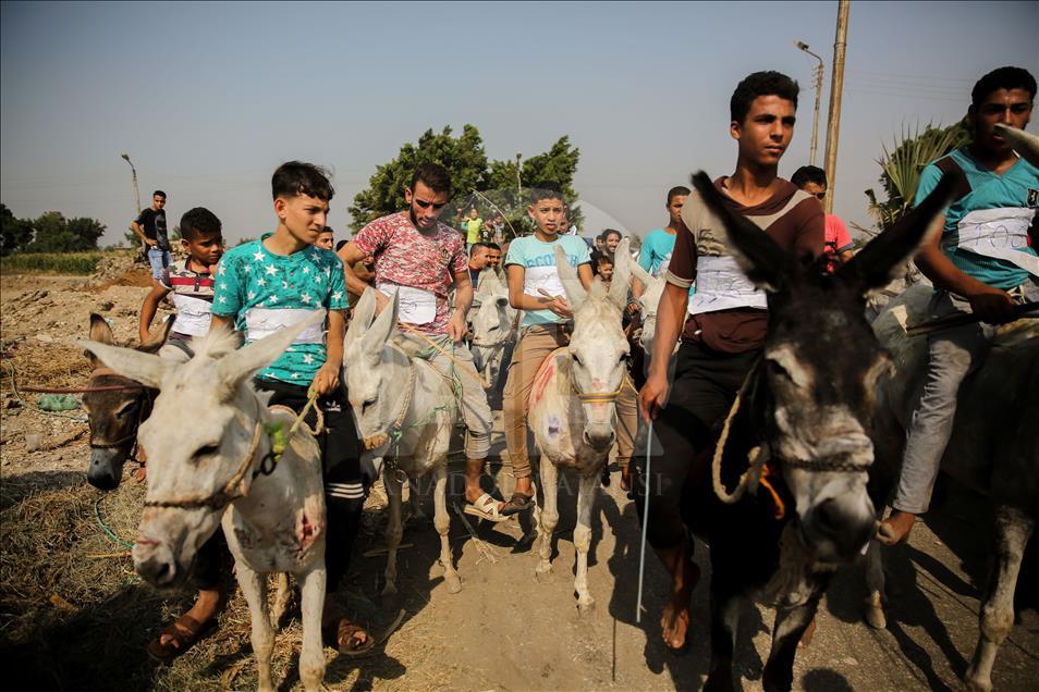 Carrera de burros en Egipto