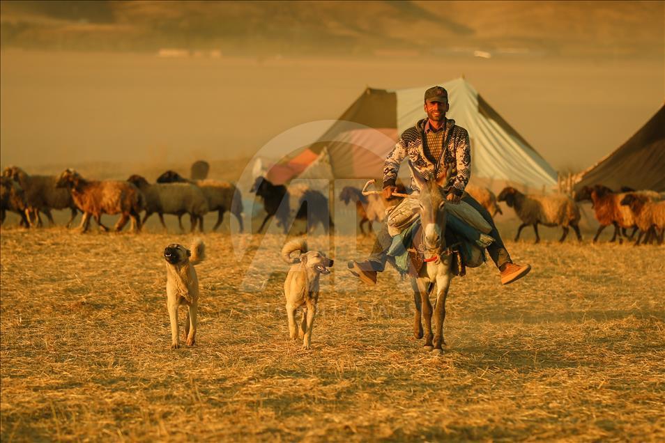 Así viven los nómadas turcos en la provincia de Van