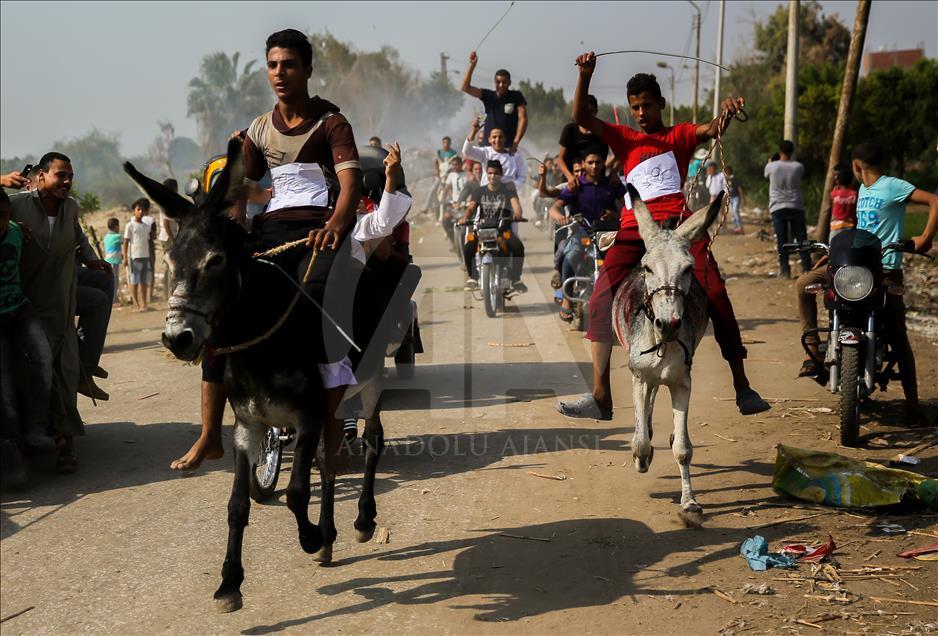 Carrera de burros en Egipto