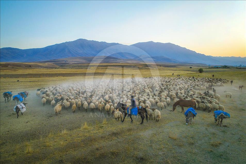 Así viven los nómadas turcos en la provincia de Van