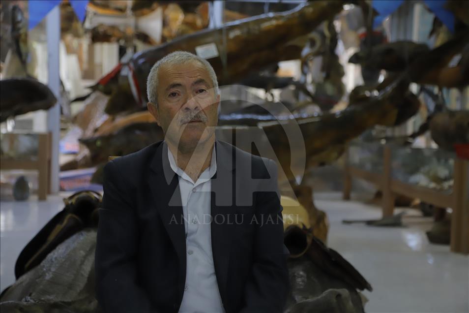 متحف الأسماك بإسطنبول.. عالم البحار مجانا بين يديك