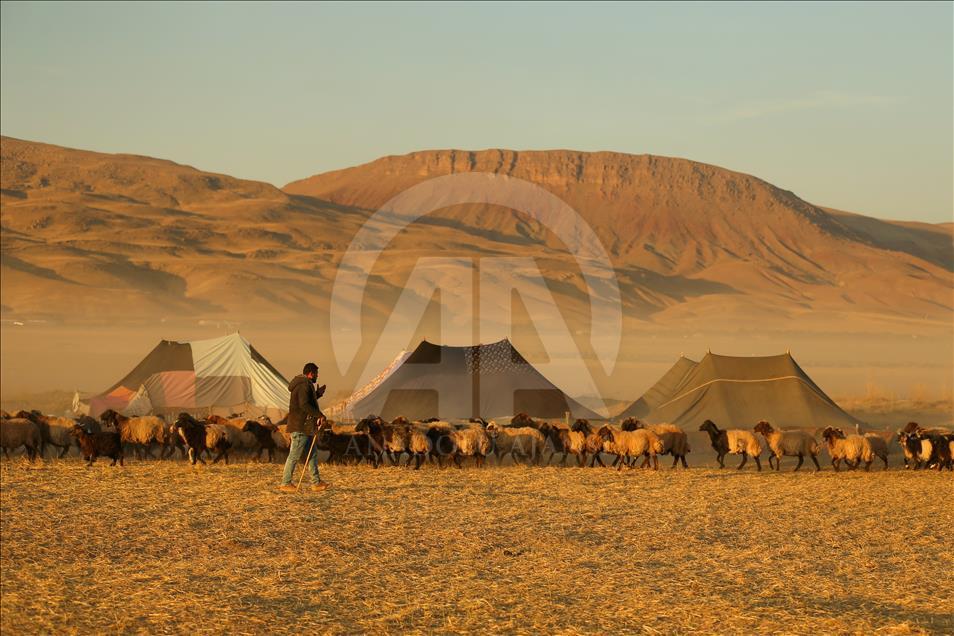 Así viven los nómadas turcos en la provincia de Van