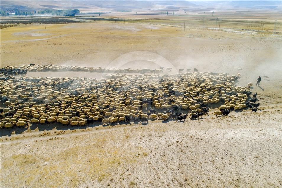 Así viven los nómadas turcos en la provincia de Van