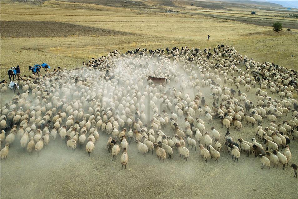 Así viven los nómadas turcos en la provincia de Van