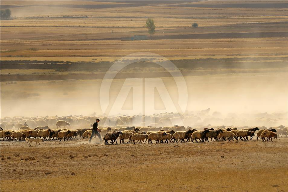 Así viven los nómadas turcos en la provincia de Van