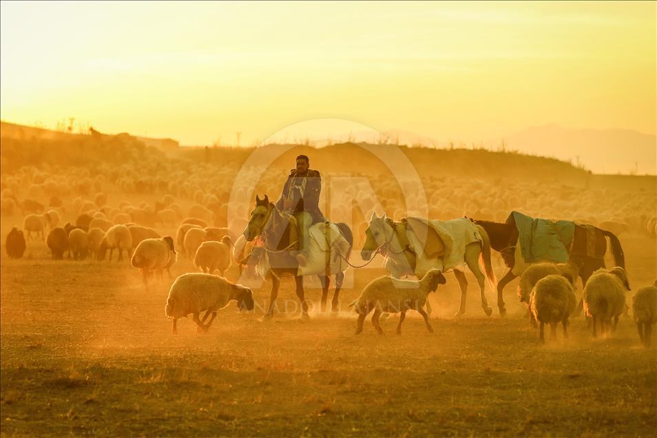 Así viven los nómadas turcos en la provincia de Van