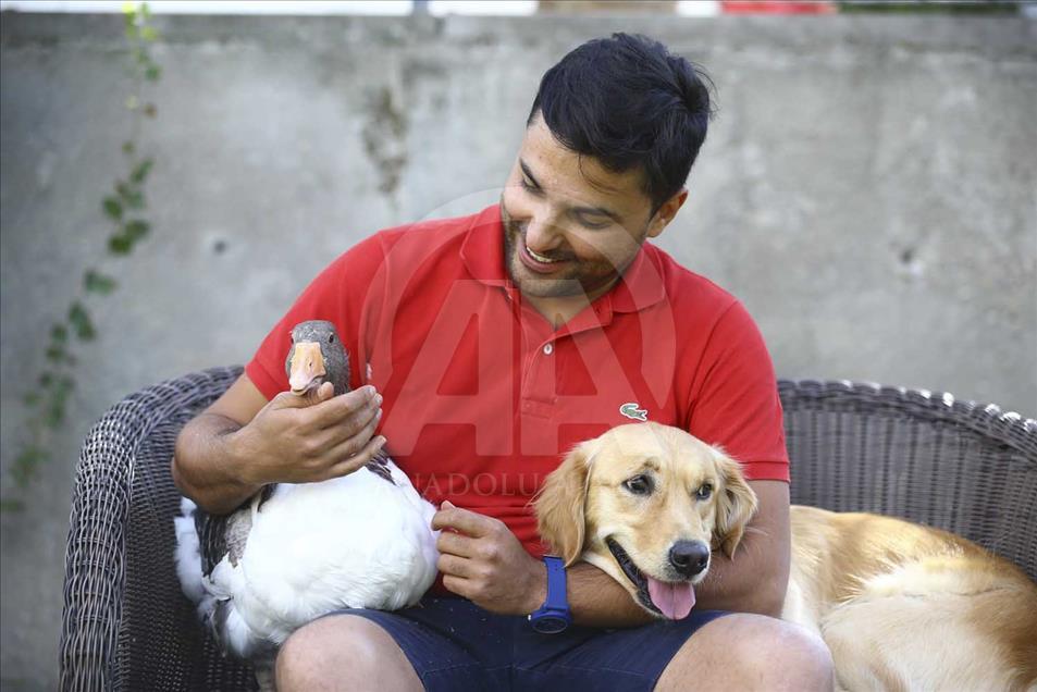 La extraña amistad entre un perro y un ganso