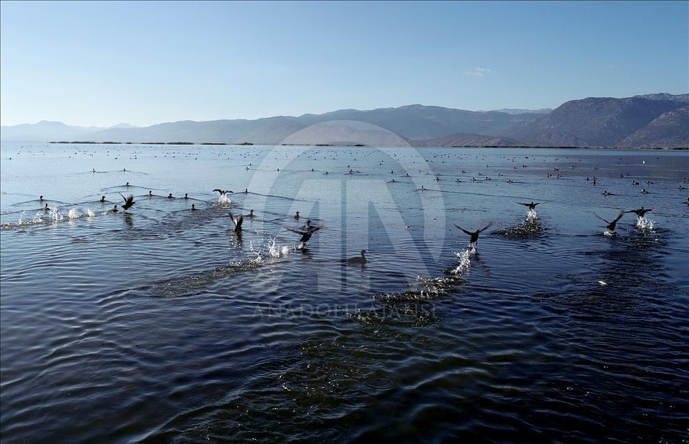 Yeşil ve mavinin buluştuğu saklı cennet: “Suğla Gölü’’