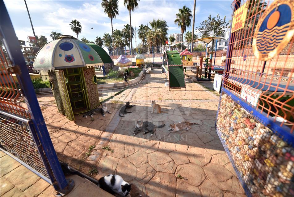 Kediler Miyav Park'ı sevdi